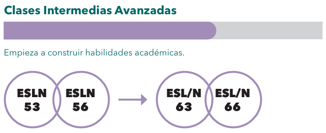 ESL Clases Intermedias Avanzadas  (ESLN 53/56 > ESLN 63/66)
